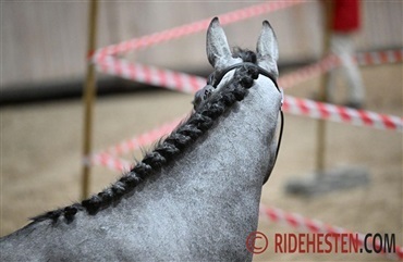 Klar til forbesigtigelse