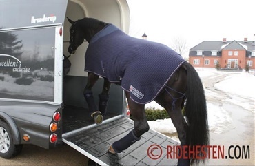 S&oslash;rg for at give hesten en stressfri traileroplevelse