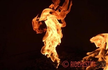 Brand i hestestalde efterforskes