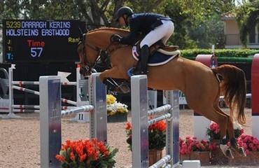 Dansk springhest med succes i USA