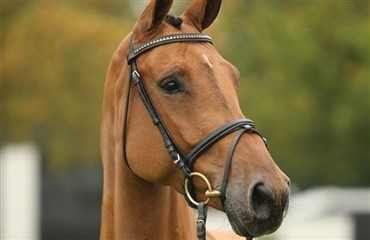 B&oslash;geg&aring;rdens Apollonia til Stefanie Bistan