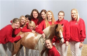 Ung i DV’s sommerlejr 2011