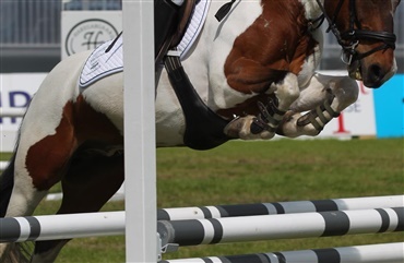 DM i ponyspringning for hold p&aring; trapperne