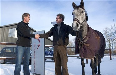 Én specialiseret hestepraksis i Midtjylland