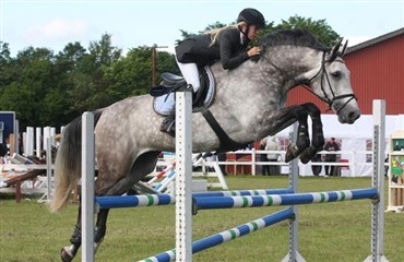 Doteringer for 30.000 kr. i Vemmelev Rideklub