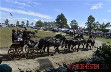 Landsskuet aflyses i 2021