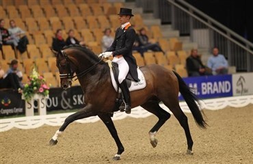 Ny hingst til Joachim Thomsen og Rune Willum