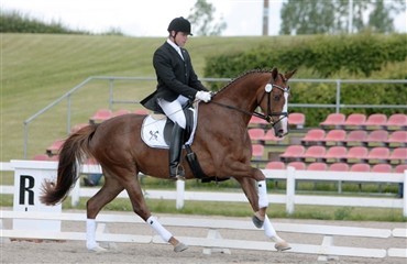 5 hopper fra region 1 udtaget til Eliteskuet