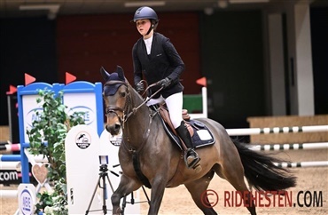Fra pony til hest i Odense Congres