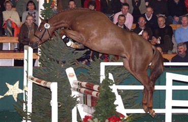 Vidste du det om Lagano?