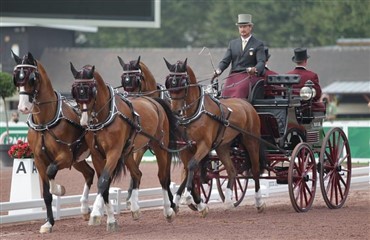 6000 til firspandskørsel