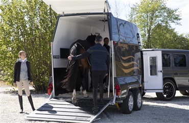 S&aring;dan bliver k&oslash;returen en god oplevelse for hest og chauff&oslash;r 