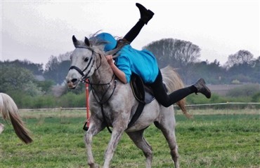 Nye danmarksmestre i mounted games