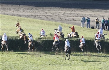 Jump racing skal stoppes