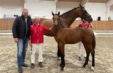 Succesfuld F&oslash;lauktion Jylland