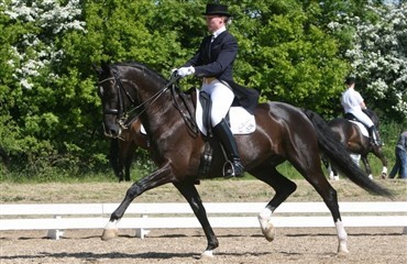 Heterosis Nord til Thomas D. Larsen