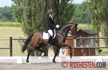 De f&oslash;rste championater er lige nu!