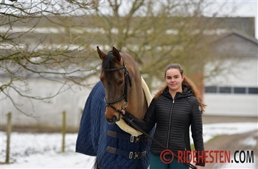 Maria Schou: Jeg vil gerne arbejde med heste (video)