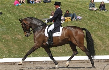 Mandefald i DM-starterne