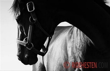 Oprydningen er i gang efter Irma