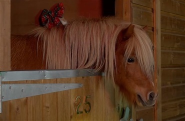 Bed&aring;rende shetl&aelig;nder stjerne i ny julereklame