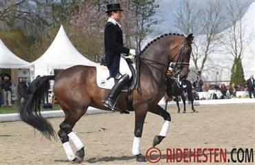 Hexagon's Wellnetta solgt 