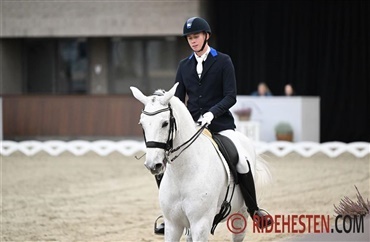 Paradressur hos Blue Hors