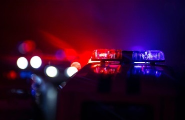 Kamera afsl&oslash;rede hestemishandling