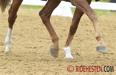 Nathalie Horse Care Stil Cup skifter navn