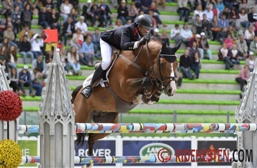 VM-hesten Utamaro d'Ecaussines helliges avlen