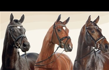 Service for hoppeejerne