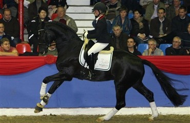 Silbermond topper i Westfalen