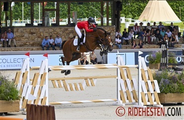 Zascha topplaceret i Gorla Minore