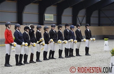 En hobbyhorse koster ingen penge i opstaldning