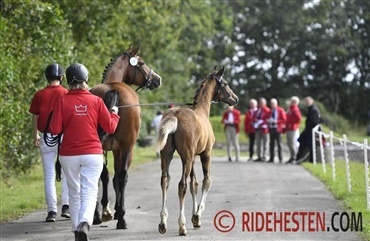 Husk at deltage i konkurrencen om en ny trailer