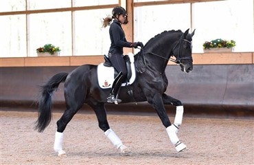 Verdensmesteren Sezuan til Hagen