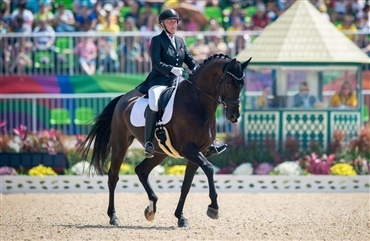 Dansk hest f&oslash;rer grad III i Rio