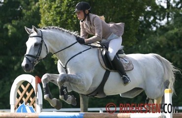 Willemoes &aring;rets hunter-producent