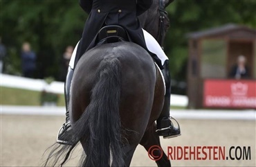 Min nye tr&aelig;ner