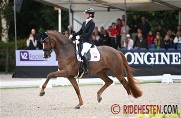 &Aring;rets dressurheste i Dansk Varmblod