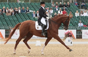 Donatha S pensioneres fra den internationale dressurscene