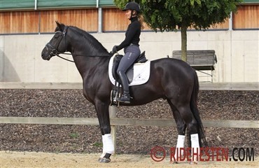 Dansk sejr i Grand Prix Kür i Krefeld