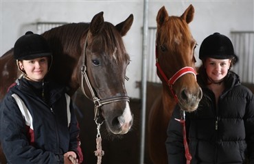 Handlest&aelig;rke hestepiger
