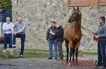 Afslutning af 35-dages testen