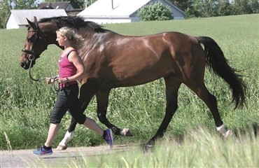 L&oslash;b med din hest!