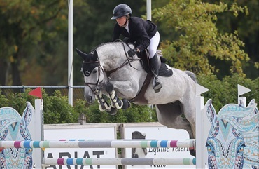 Unghest solgt for 3,5 millioner euro p&aring; auktion