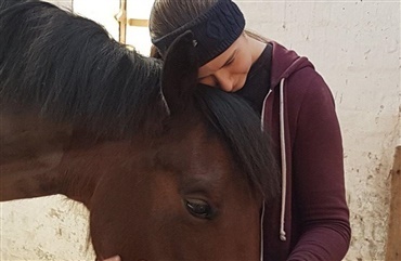 Hest ramt af arvelig muskelsygdom: – Jeg er knust