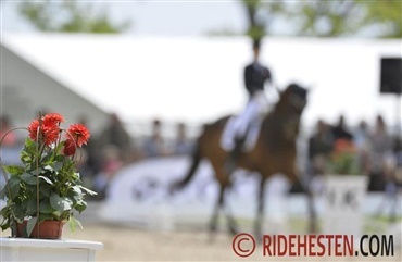 Ny Grand Prix – godt eller?