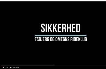 Hvad ved du om sikkerhed?