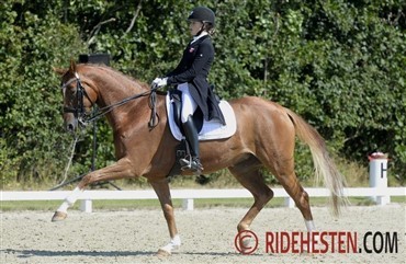 ECCO Cup 2016 skydes i gang i Sundeved